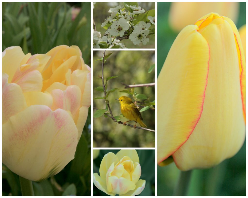 [2009-05-20-1048-091-702279.jpg]