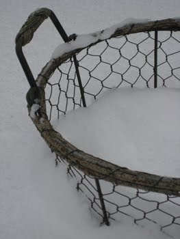[Korb+im+Schnee.JPG]