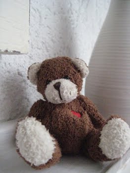 [fenster+Teddy.jpg]
