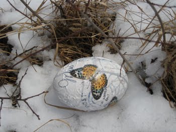 [Ei+Schmetterling_draußen.JPG]