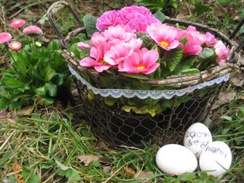 [rosaPrimeln_Korb1.JPG]