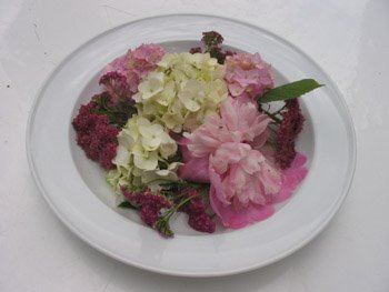 [Blumenteller_1.jpg]