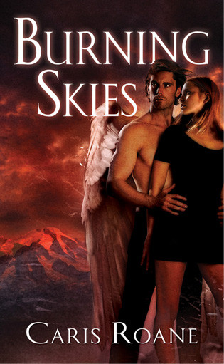 Burning Skies: Book 2 of The Guardians of Ascension Paranormal Romance Trilogy