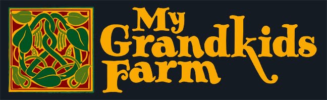 My Grandkids Farm