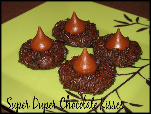 [super_duper_chocolate_cooki.jpg]