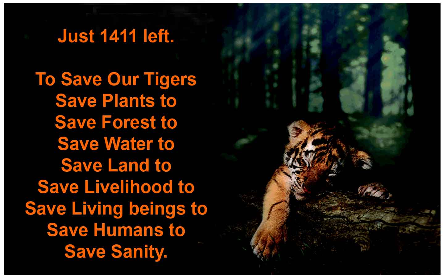 Save wild life essay