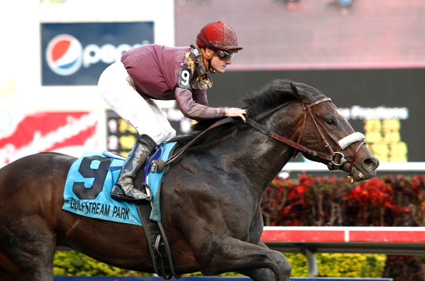 Turf & Dirt - On Horse Racing: Zito 