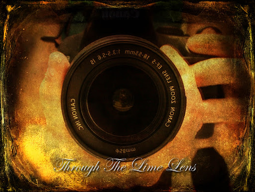 Through The Lime Lens