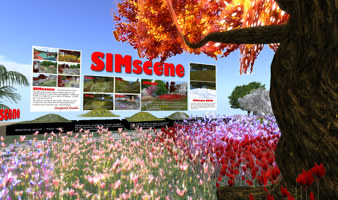 SIMscene Platform