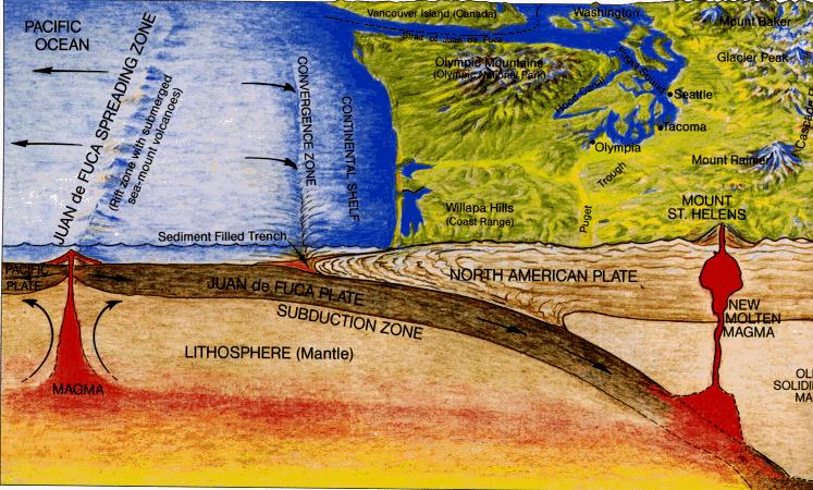 Mt st helens case study a level picture