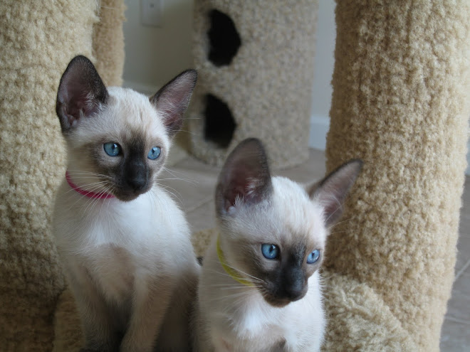 Ashley and Jon's boy