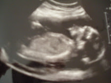 19w2d US