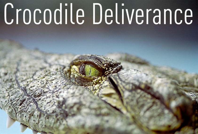 CrocodileDeliverance