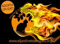 Blog de la botigueta solidària de "El Jardinet dels Gats"