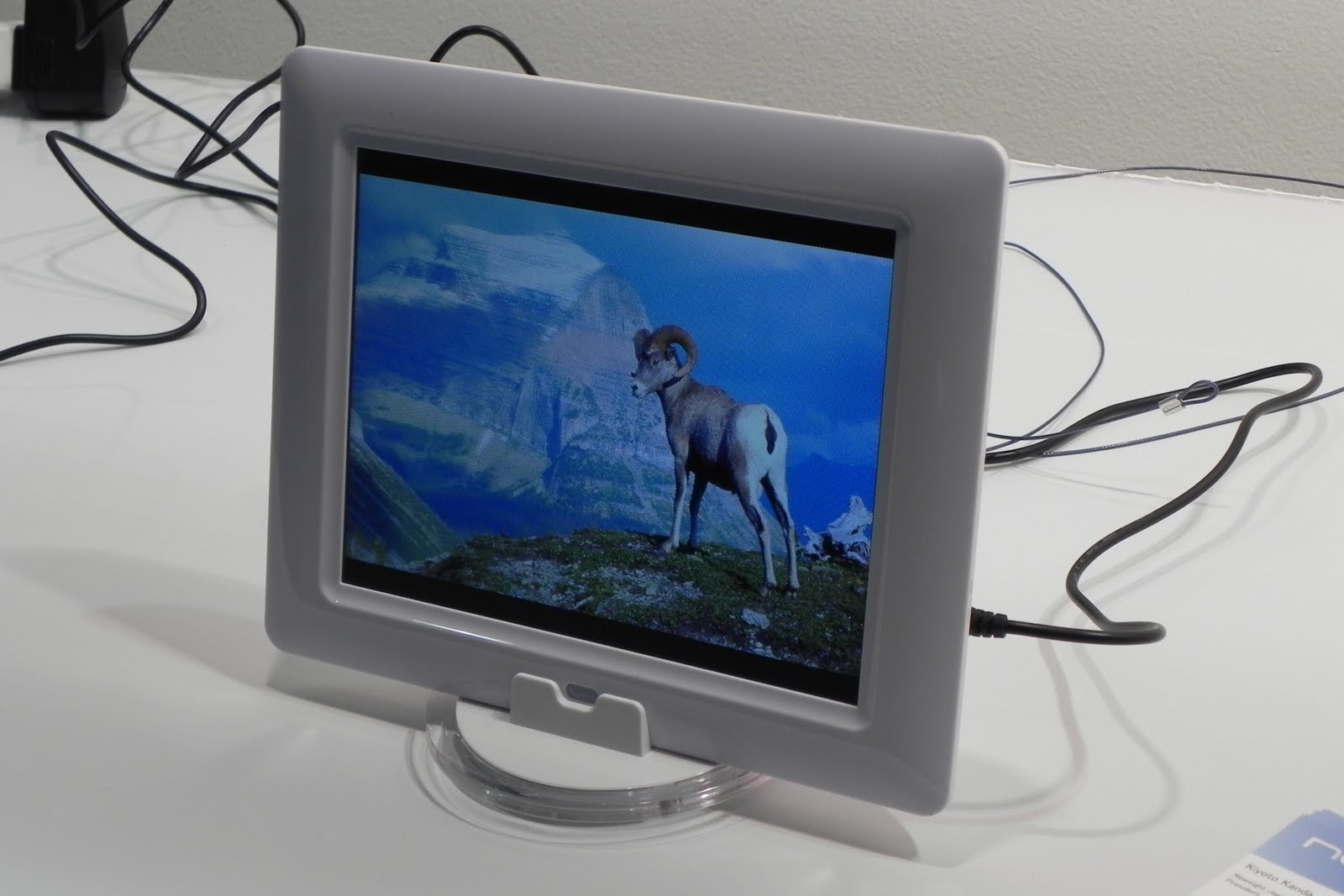 Information Display SID 2010 Synthetic 3D Photo Frame