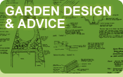 Lynne Allbutt Garden Design and Advice