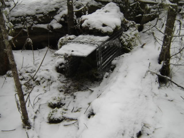 Trapping Supplies Review: Fisher Trapping Basics