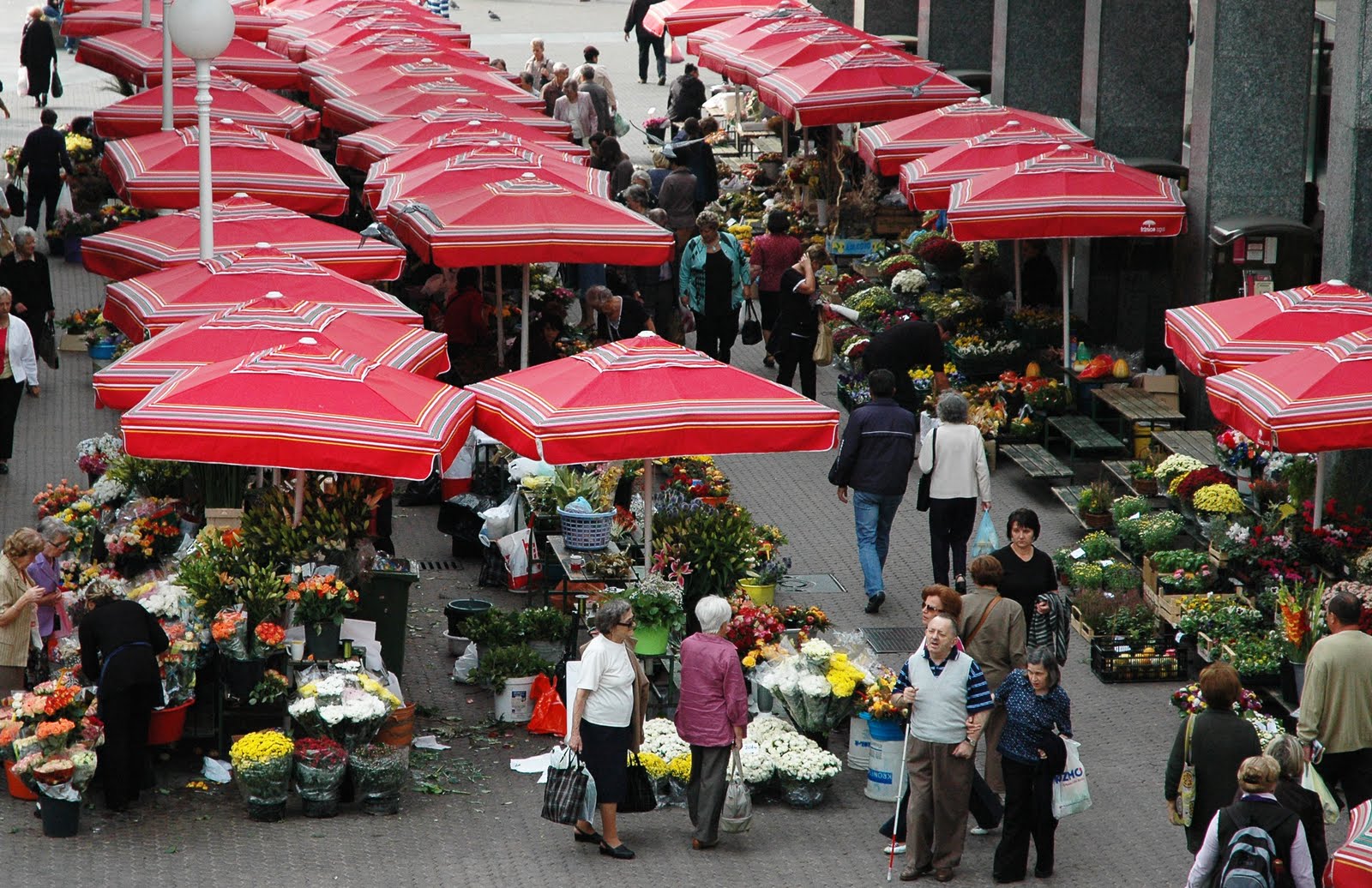 Croatia_Zagreb_flower+market1_100109.jpg