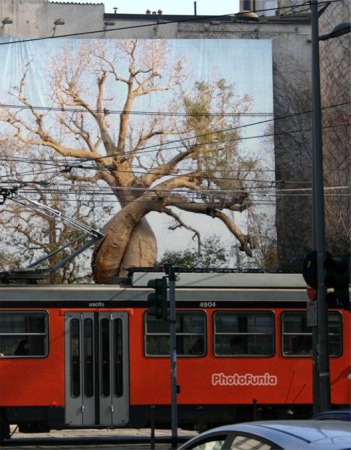 [Ju5HY2R-HncTT5g8RZMnXQ.jpg]