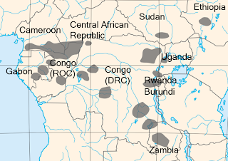 Mapa Pigma Atravesando el mundo: Resquebrajando África: Los Pigmeos Twa
