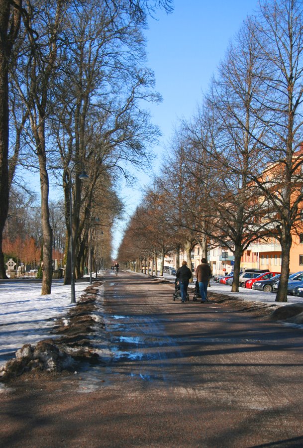 [Uppsala+18+mars+promenadalle.jpg]