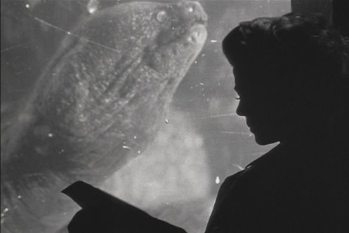 [ladyfromshanghai.jpg]