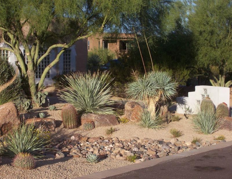 BACKYARD LANDSCAPING IDEAS | LANDSCAPING IDEAS | BACK YARD ... BACKYARD LANDSCAPING IDEAS | LANDSCAPING IDEAS | BACK YARD ... on Desert Landscape Ideas For Backyards id=39678