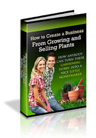 Making Money With Organic Gardening