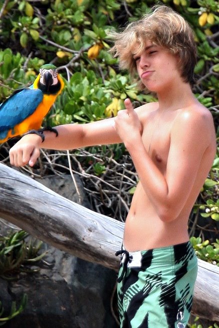 [dylan-cole-sprouse-playa-009.jpg]