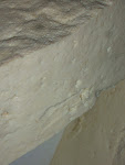 DSCN7532.JPG
