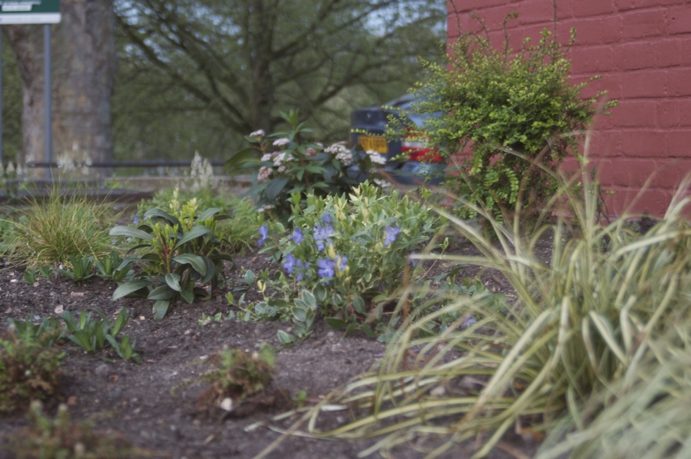 Beecholme and Environs architectural and visual. Grounds 1