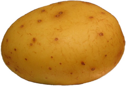 [potato.jpg]