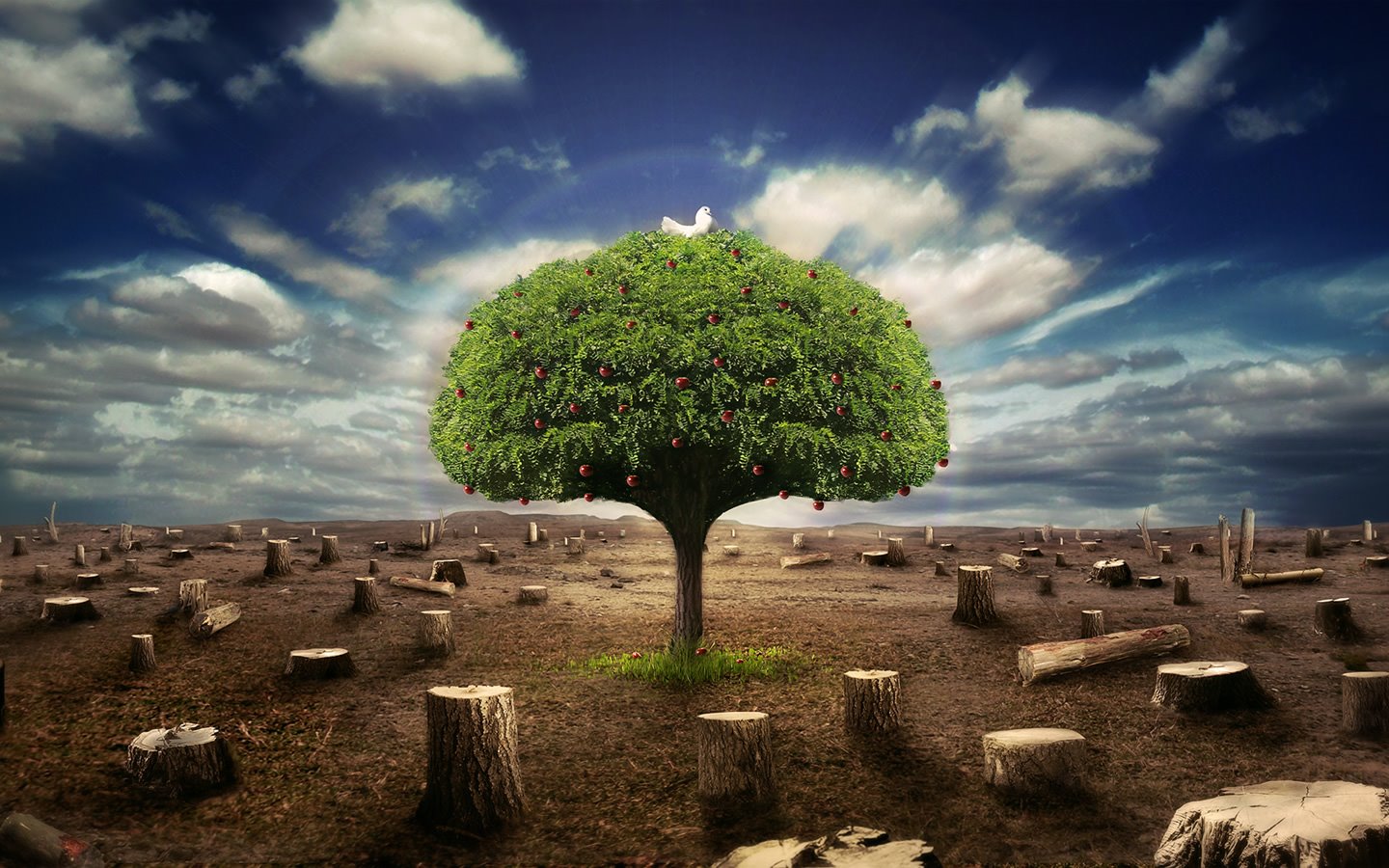 [survivor_1440x900.jpg]