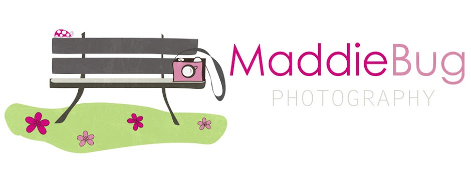 MaddieBug Photography