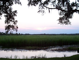 Rice Fields