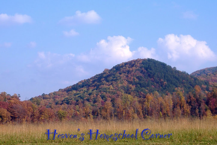 Heaven's Homeschool Corner