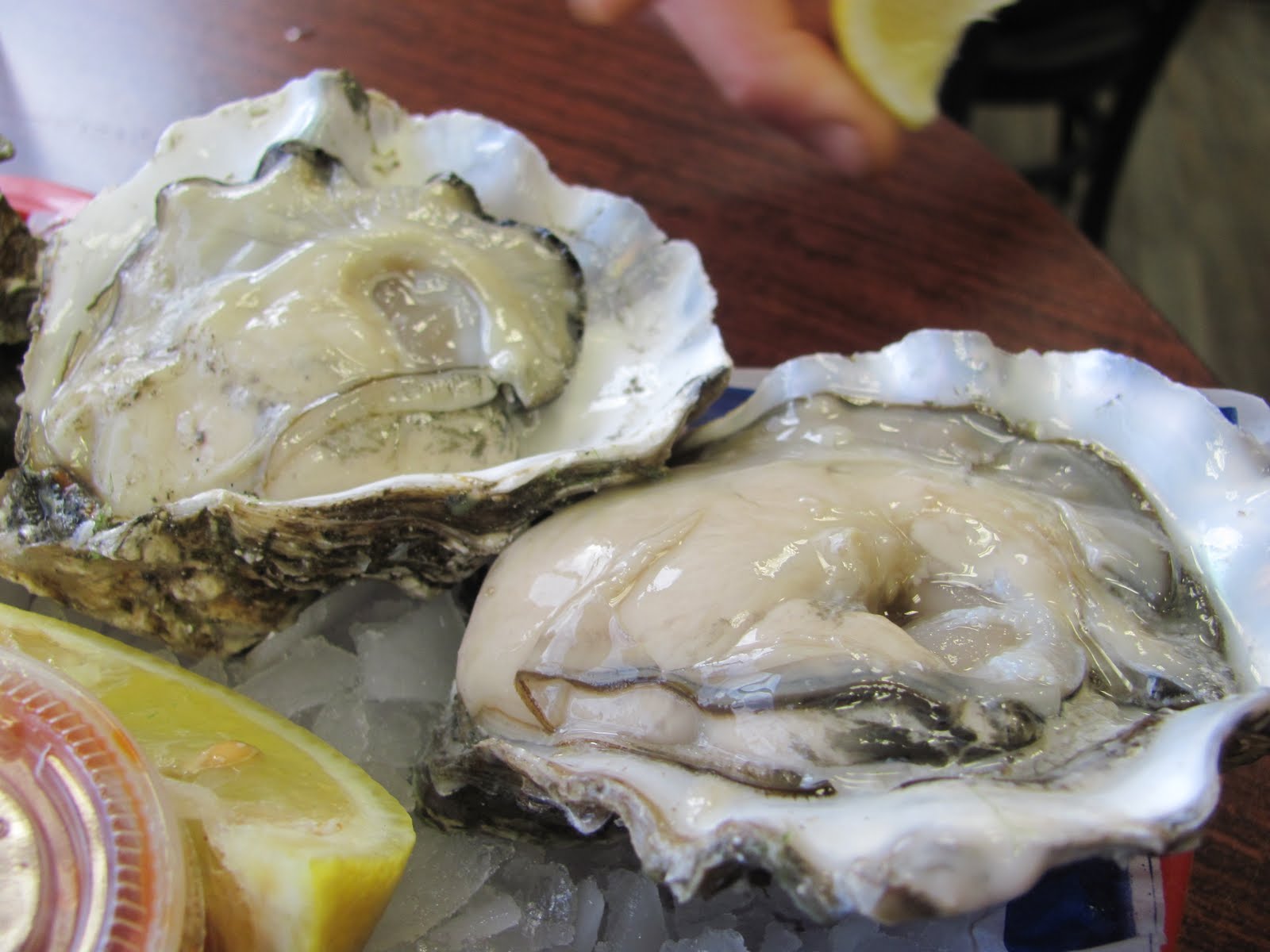 A Slice of Earthly Delight Pacific Oysters