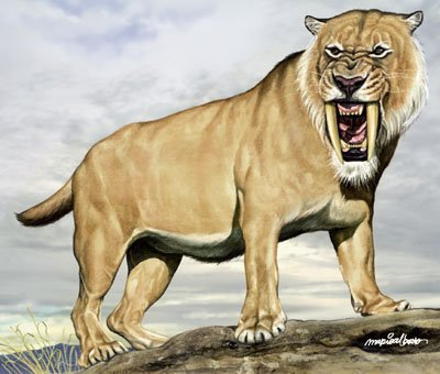 [smilodon+3.jpg]