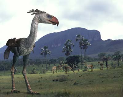 [phorusrhacos+mont.jpg]