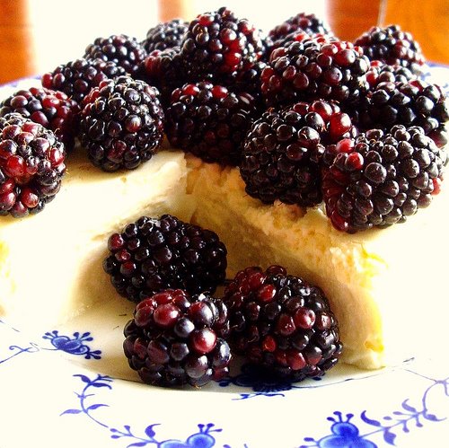 [sugarfree+cheesecake+gussied+up+with+blackberries.jpg]