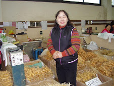 Mesuk's friend, the Ginseng vendor