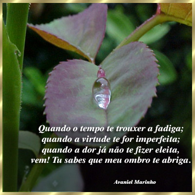 Amizade_310994129_009_amizade.jpg