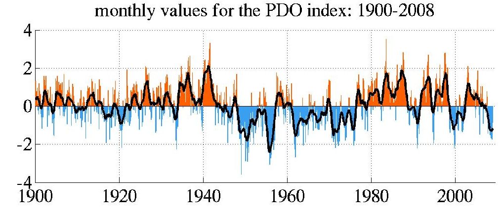 Index values. List of trade index. Index values. Chief procurement officer визитка. Index values.