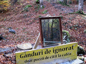 Gânduri de ne - ignorat