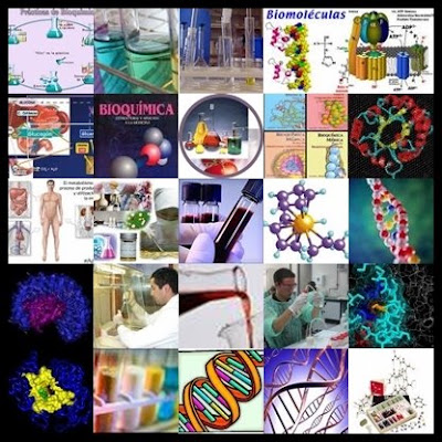 online*: collage BIOQUIMICA