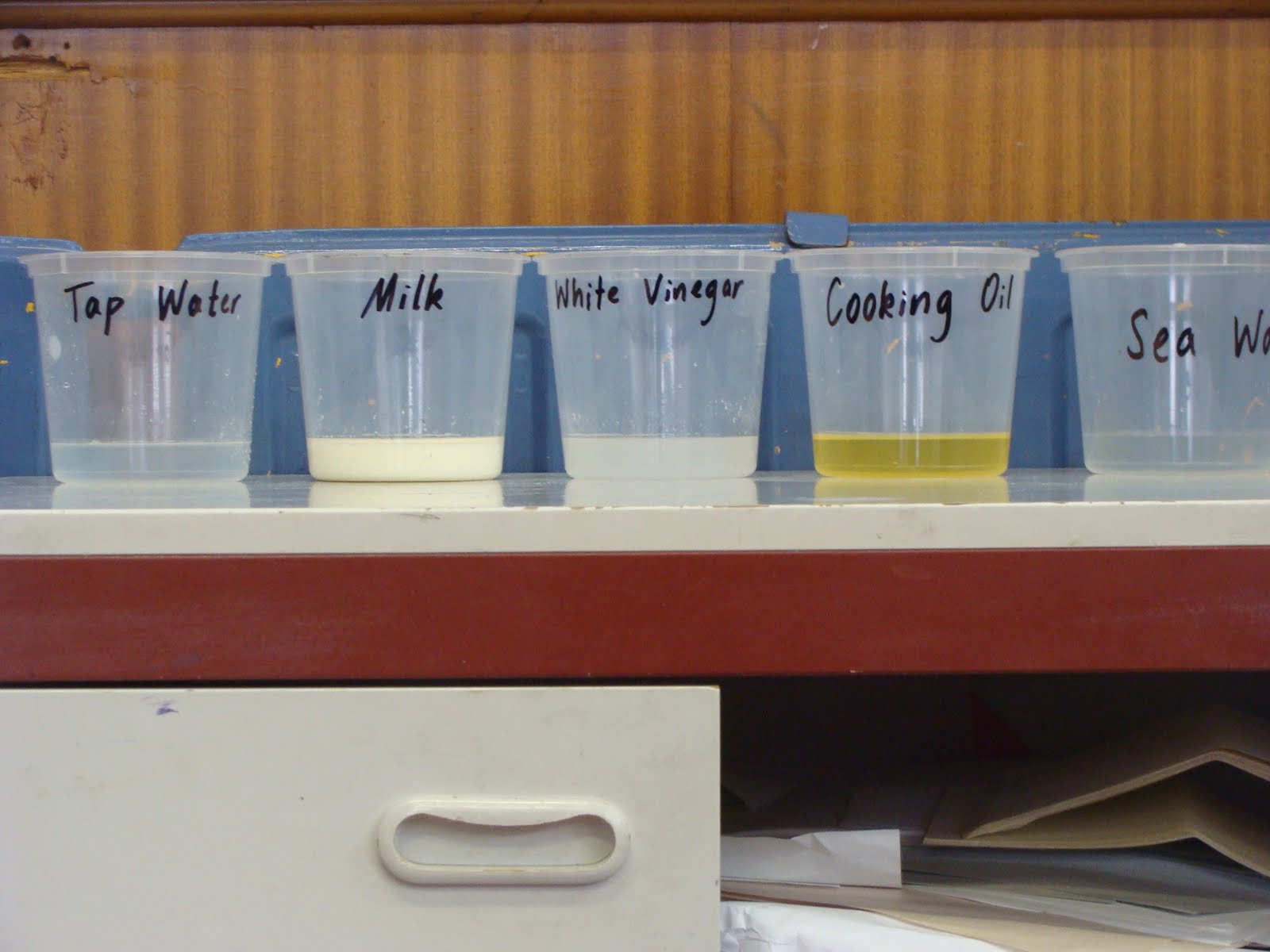 Mr Ray's Blog SCIENCE FAIR TESTING