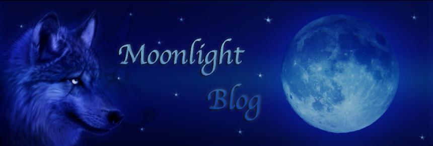 Moonlight Blog