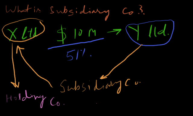 Tutorial of Subsidiary Company | Accounting Education