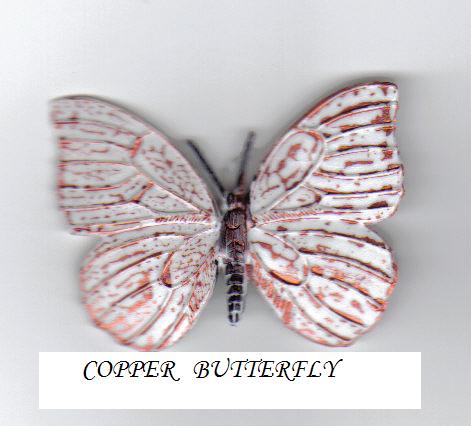 [copperbutterfly.JPG]