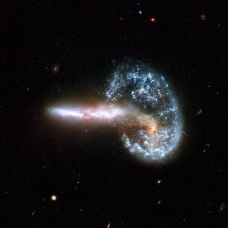 [Hubble+Interacting+Galaxy.jpg]